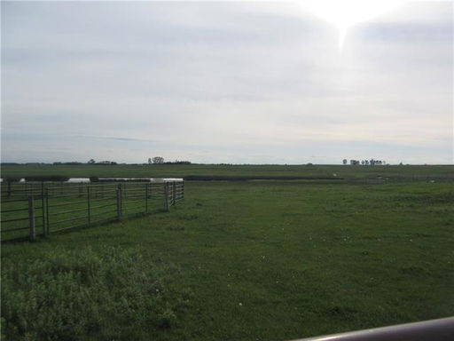 Media Image 3