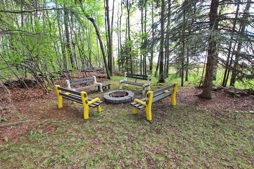 Media Image 2