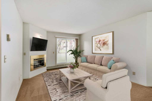 Media Image 3