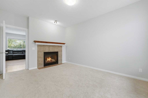 Media Image 3