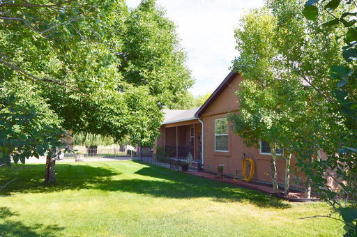 Media Image 2
