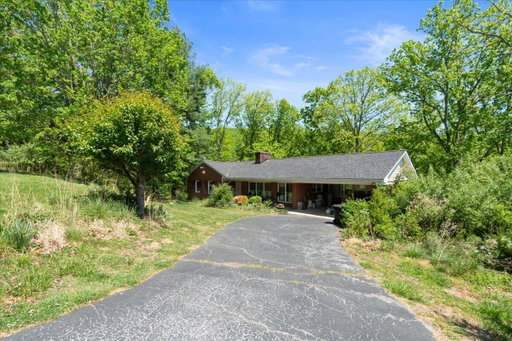 Media Image 2