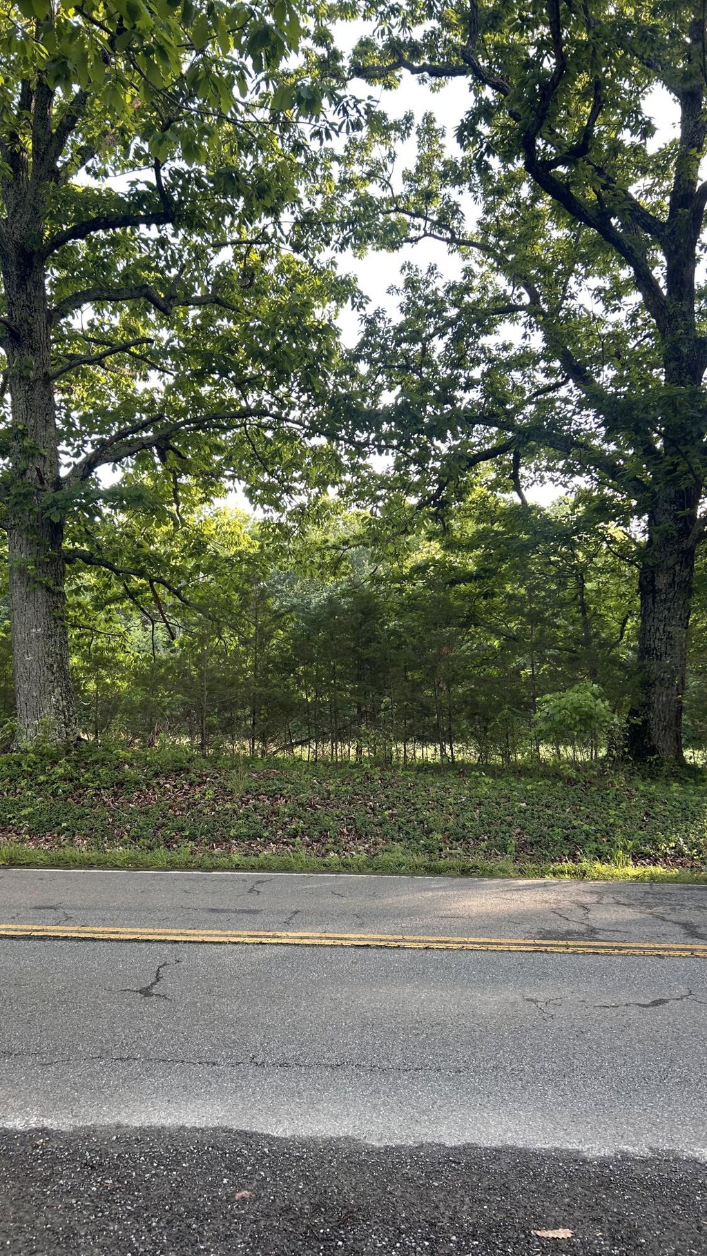 Image Unavailable