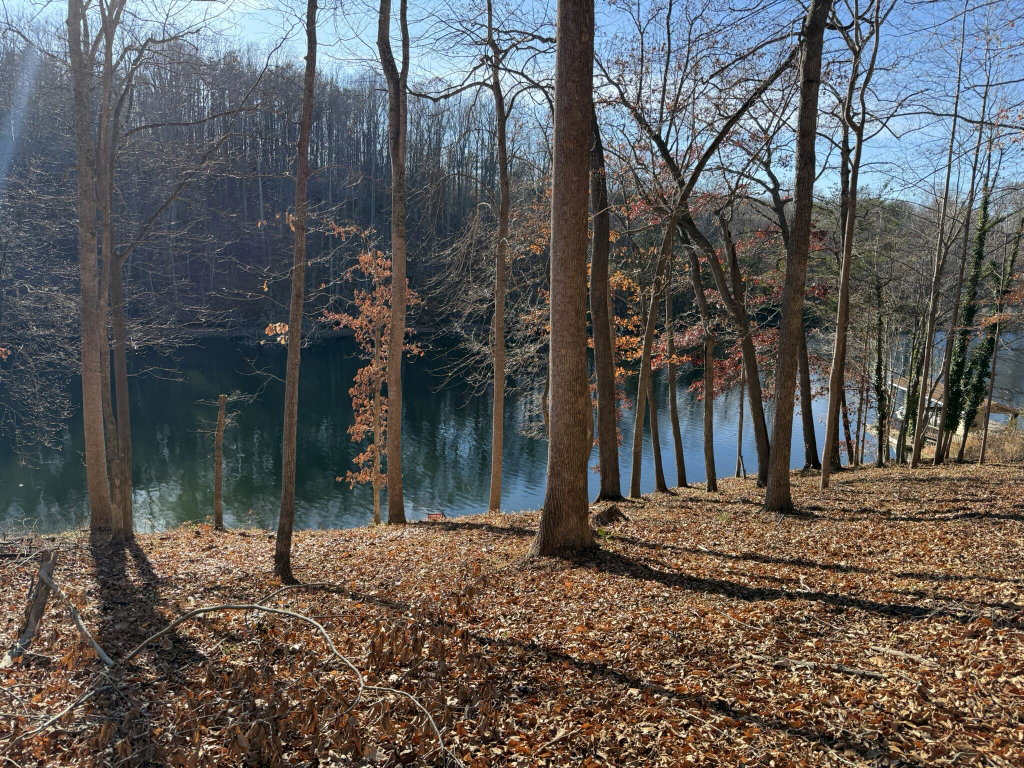Image Unavailable