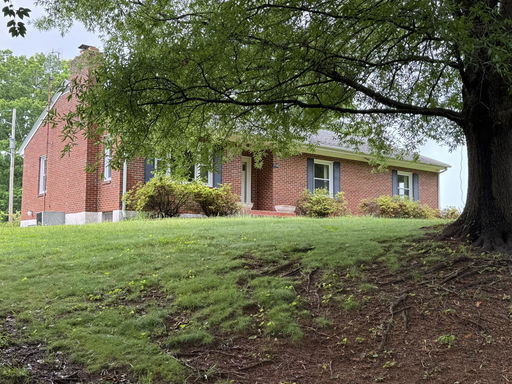 Media Image 2