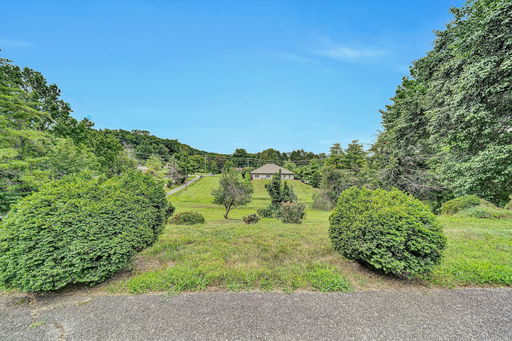 Media Image 3