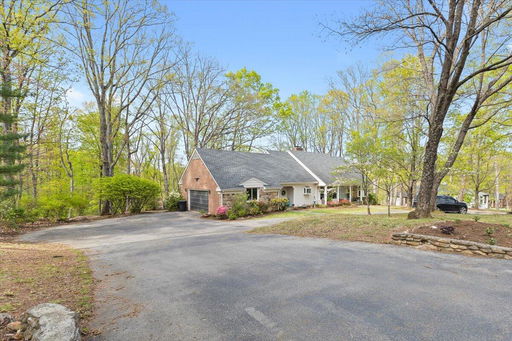 Media Image 3