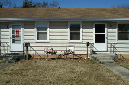 Media Image 3