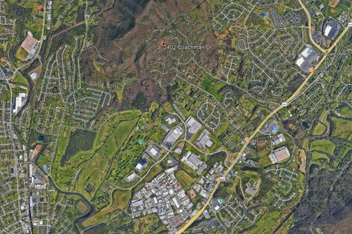 Media Image 2