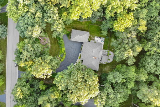 Media Image 3
