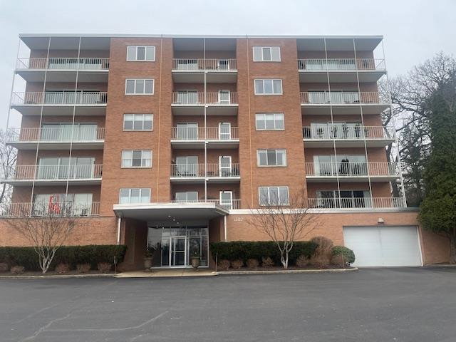 Media Image 1