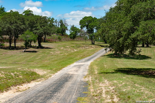 Media Image 2