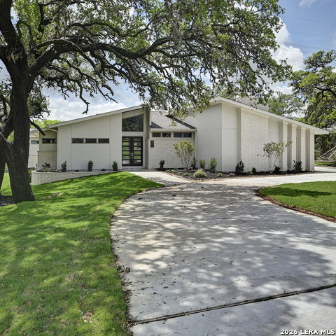 Media Image 2