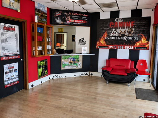 Media Image 2