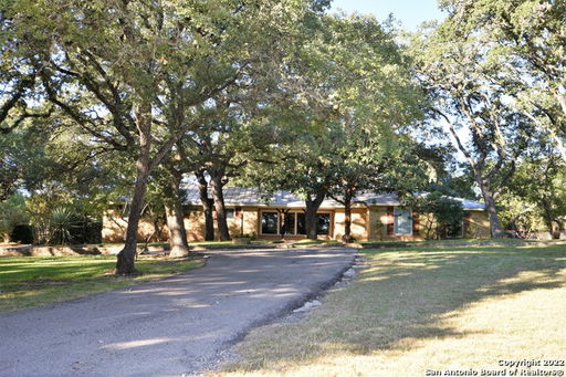Media Image 3