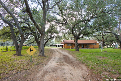 Media Image 2