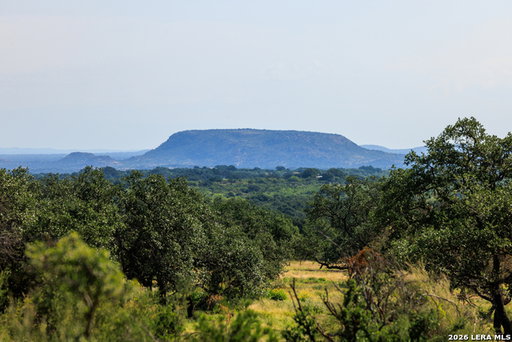 Media Image 2