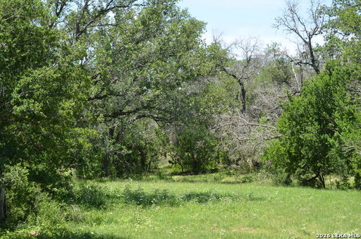 Media Image 2
