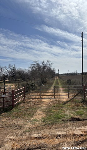 Media Image 3