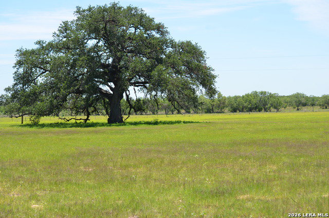 Media Image 1