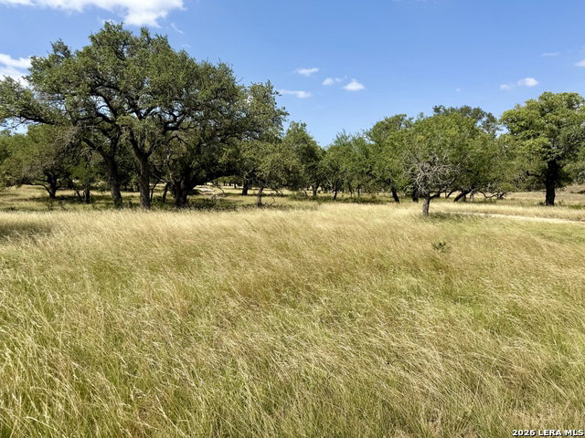 Media Image 1