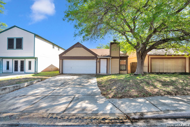 Media Image 1