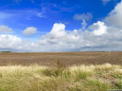 Media Image 3