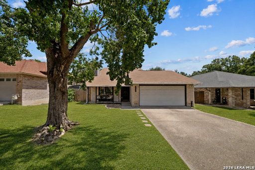 Media Image 3