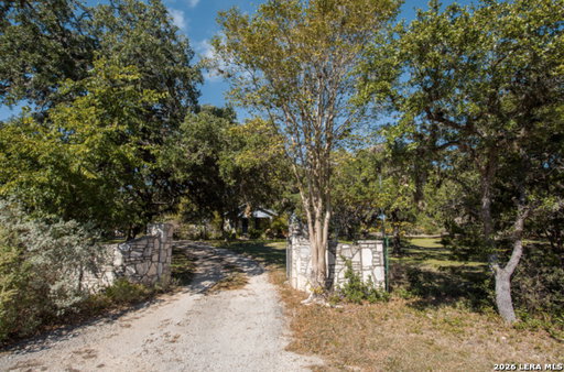 Media Image 2