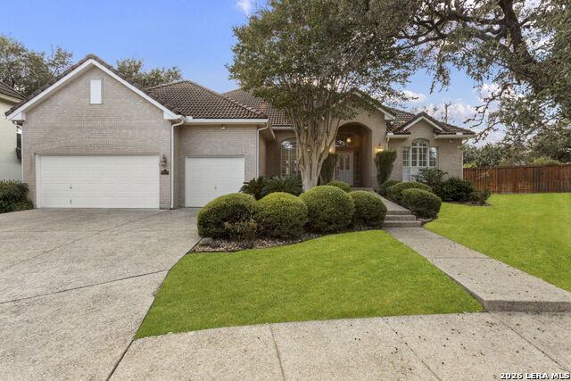 Media Image 1
