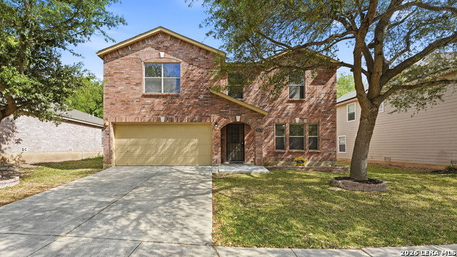 Media Image 1