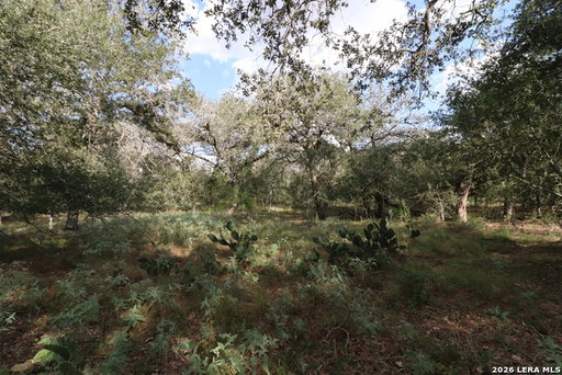 Media Image 3