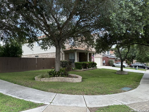 Media Image 3
