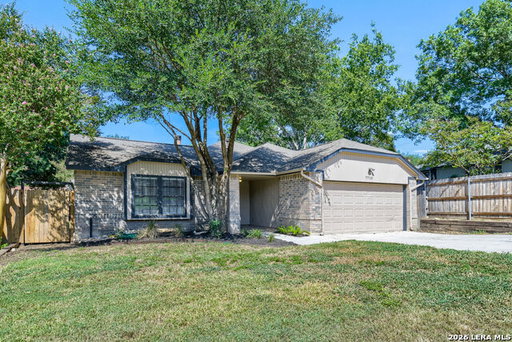 Media Image 3