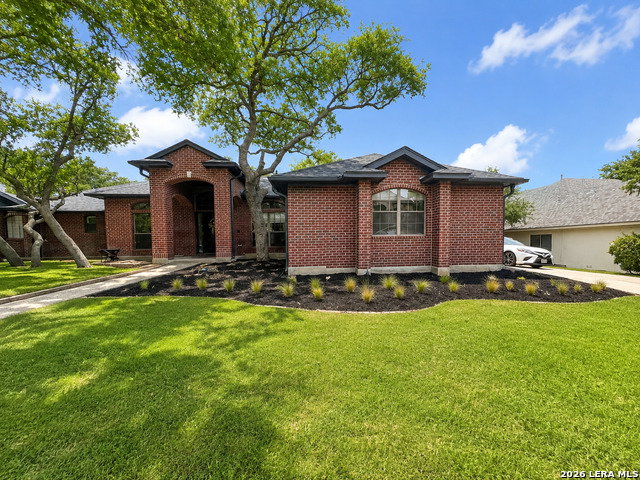 Media Image 1