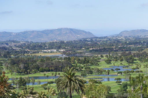 Media Image 2