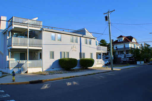 Media Image 2