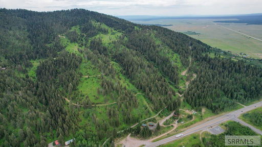 Media Image 3