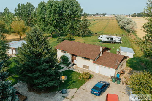 Media Image 2