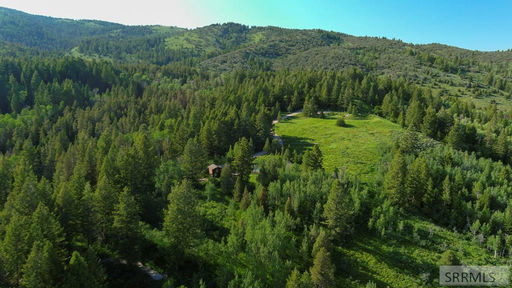 Media Image 3