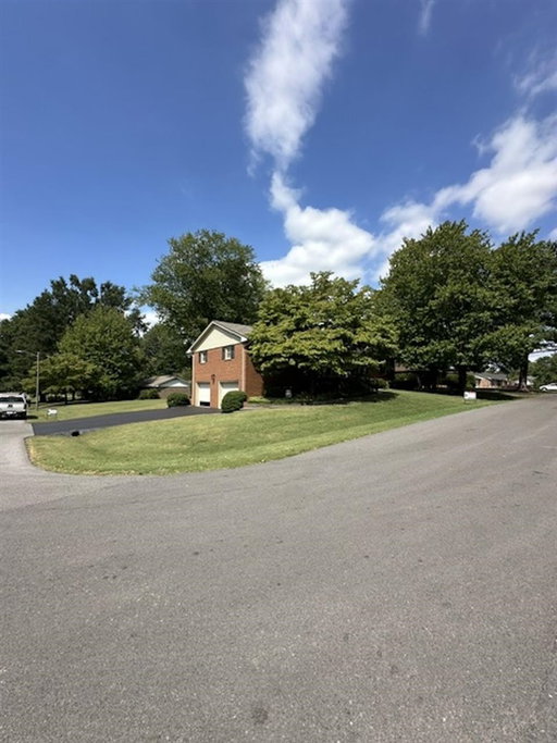Media Image 3
