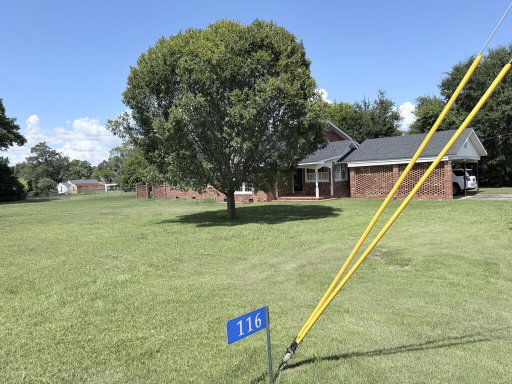 Media Image 3