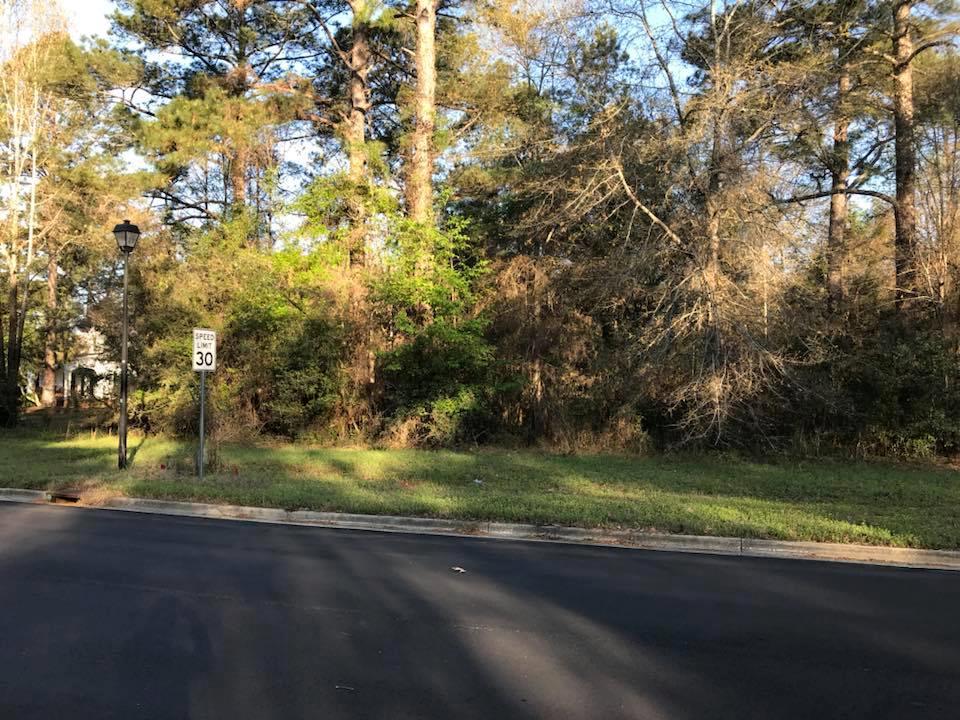 Image Unavailable