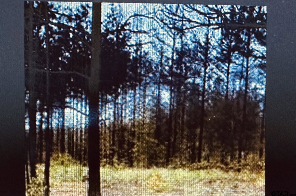 Image Unavailable