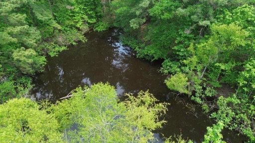 Media Image 3