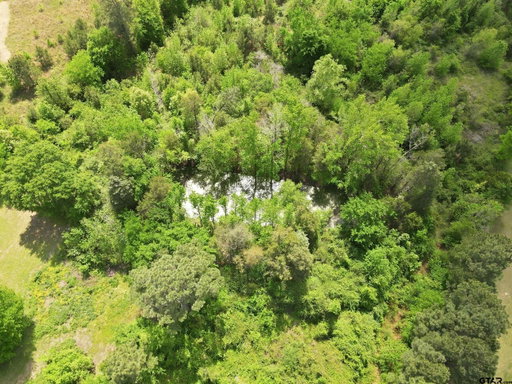Media Image 3