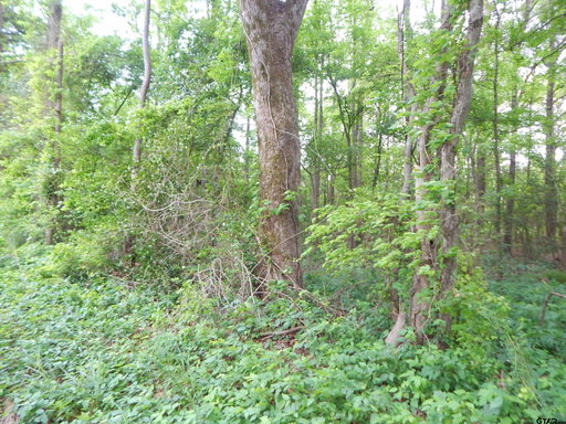 Media Image 3