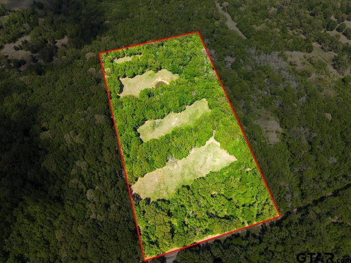 Media Image 2