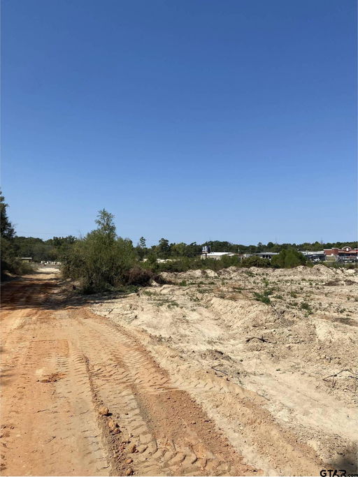 Media Image 3