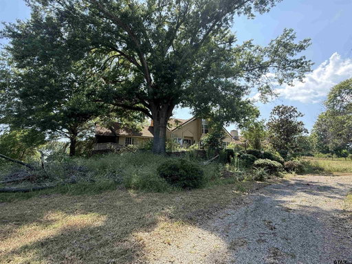 Media Image 2